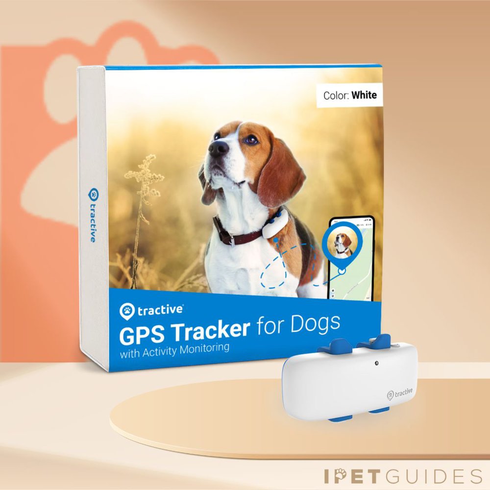 Gps devices for dogs hotsell