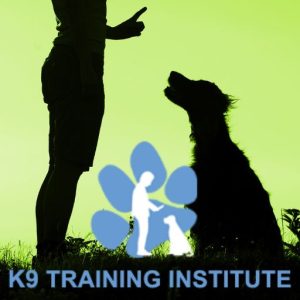 PetCo Dog Training Classes Review (2026): Worth Your Cash?