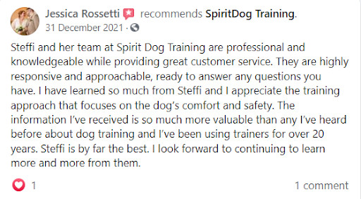spiritdog training customer testimonial 1