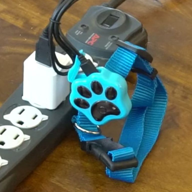 Paw Tracker Review: Don't Buy Before You Read This in 2026