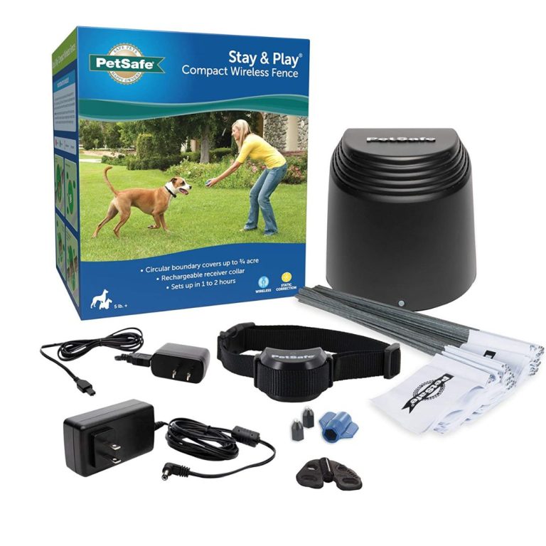6 Best Wireless Fences for Small Dog Breeds [2026 Updated]