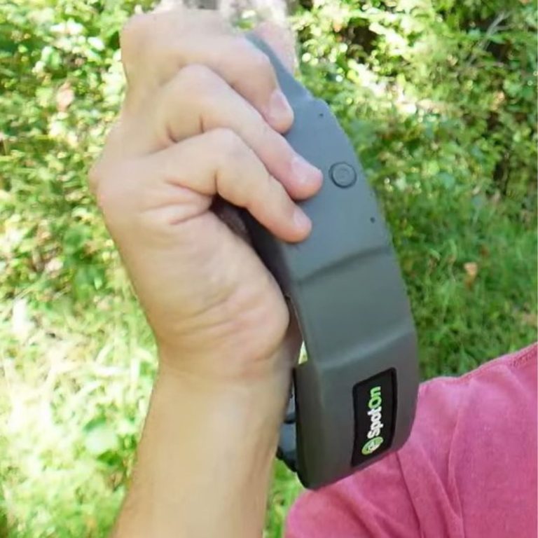 13 Best Wireless & Invisible Dog Fences [Updated in 2026]
