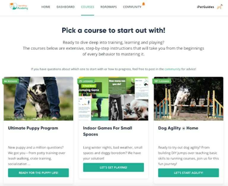 spirit dog training courses