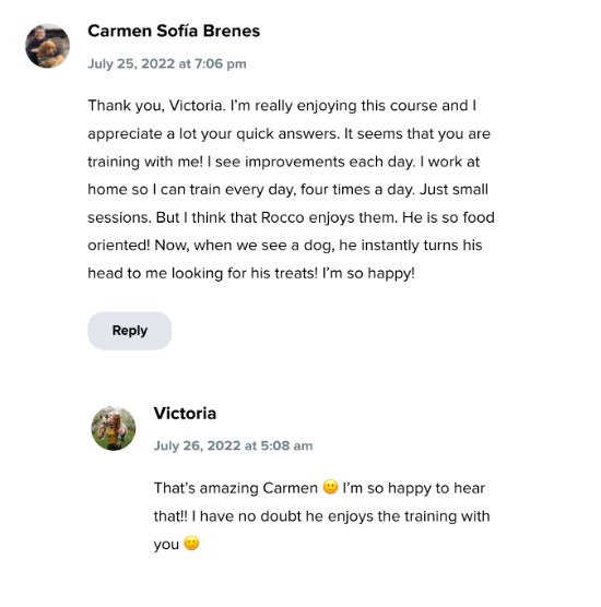 spiritdog training customer testimonial 4