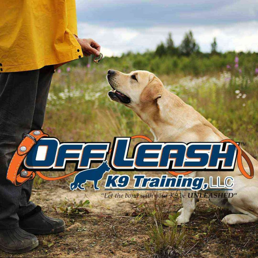 Off Leash K9 Training Review [2026 Upd.] Does it Work?