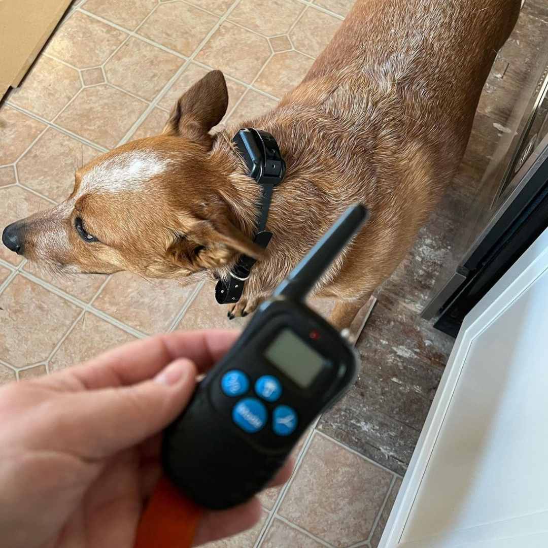 thumbnail image 2 of Dog Training Collar, Dog Shock Collar With Reote 2500ft Range With 2 of 9