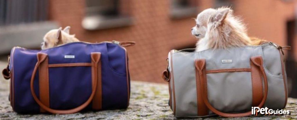 7 Best Airline-Approved Dog Crates (2026) IATA-Compliant