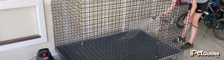 View of How to Collapse a Dog Crate? Easy Step-By-Step Folding Guide
