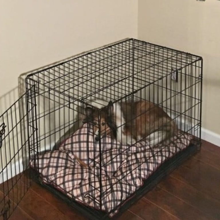 11 DIY Dog Crate Plans That You Can Build Yourself Easily - Dog Crate Plans Lift Top And Expandable