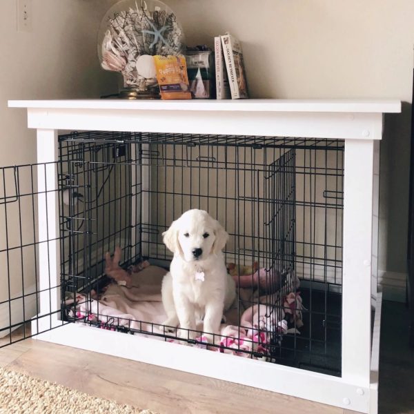 Image showcasing 11 DIY Dog Crate Plans That You Can Build Yourself Easily