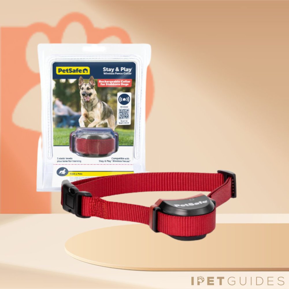 Delupet Shock Collar Manual Dog Care Dog Training Collars With