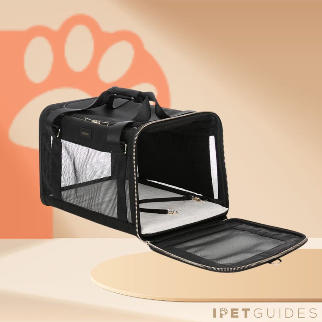 A closer look at Airline Compatible Dog Carriers