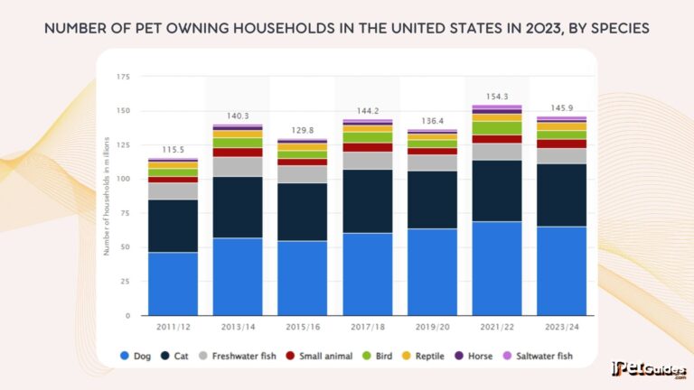 Animal Abuse Facts & the Cruelty Statistics in 2026