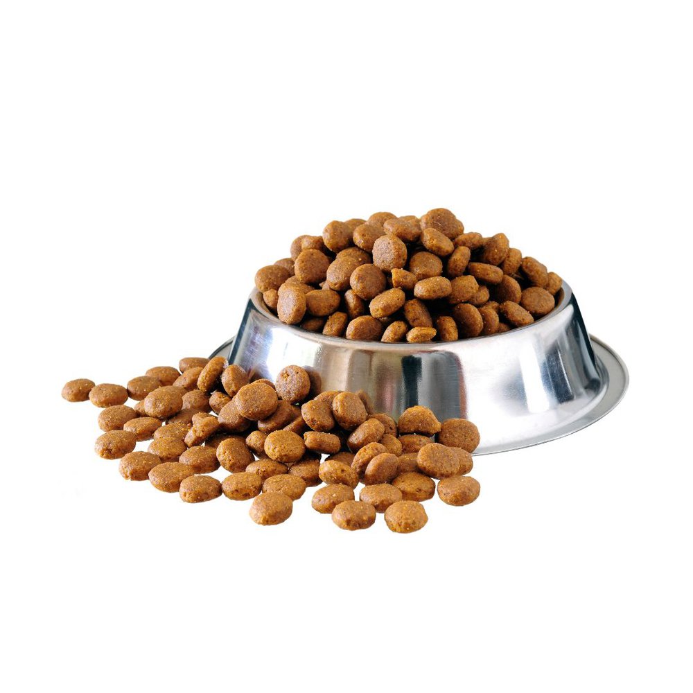 iPetGuides High Protein Dog Food on a bowl