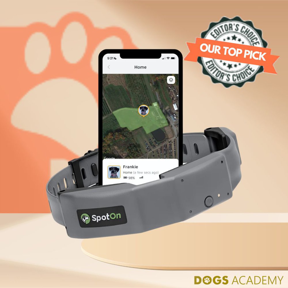 Best gps dog tracker 2019 hotsell