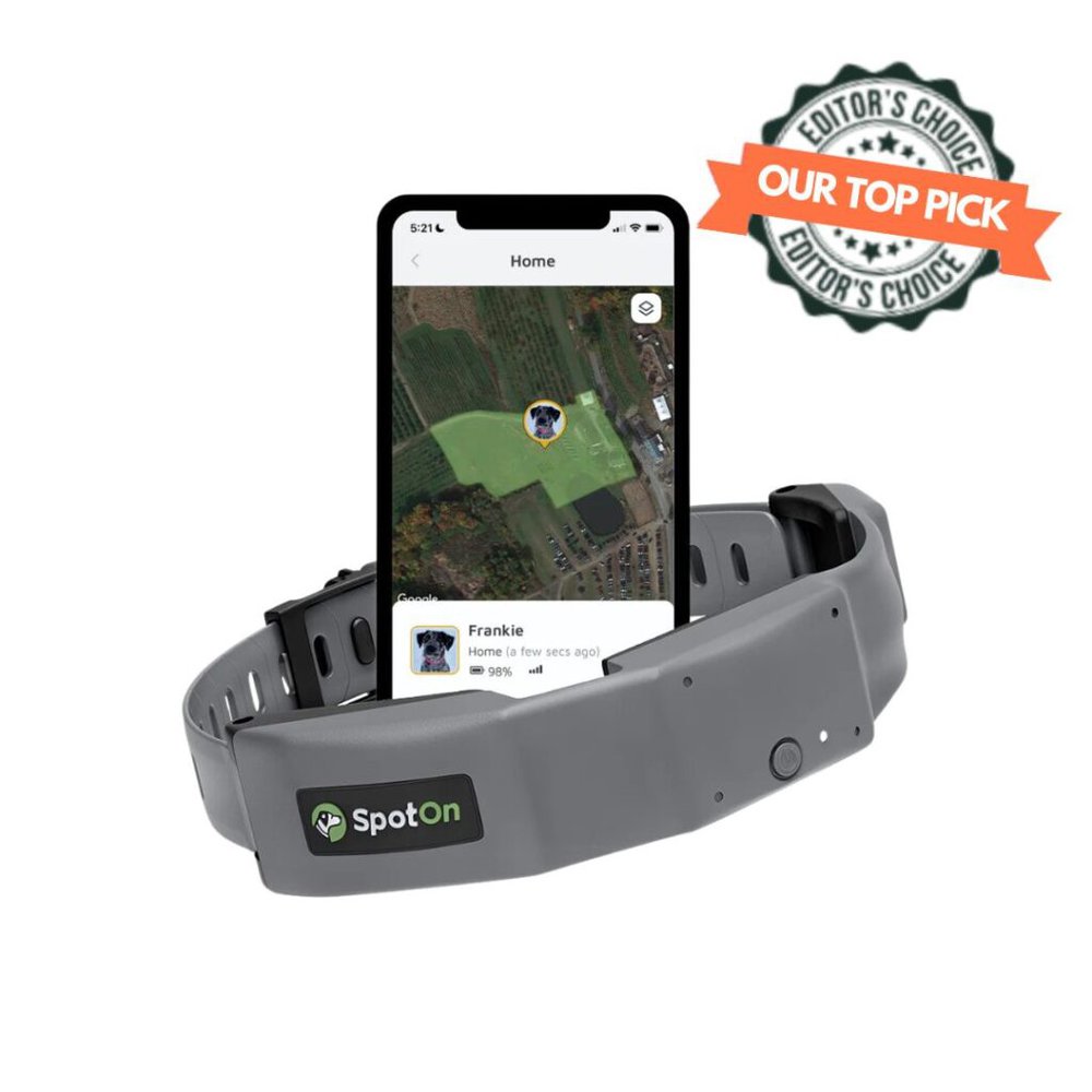 Gps dog collar with app hotsell