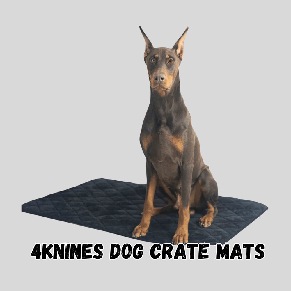 a dog seated on a 4knines dog crate mat