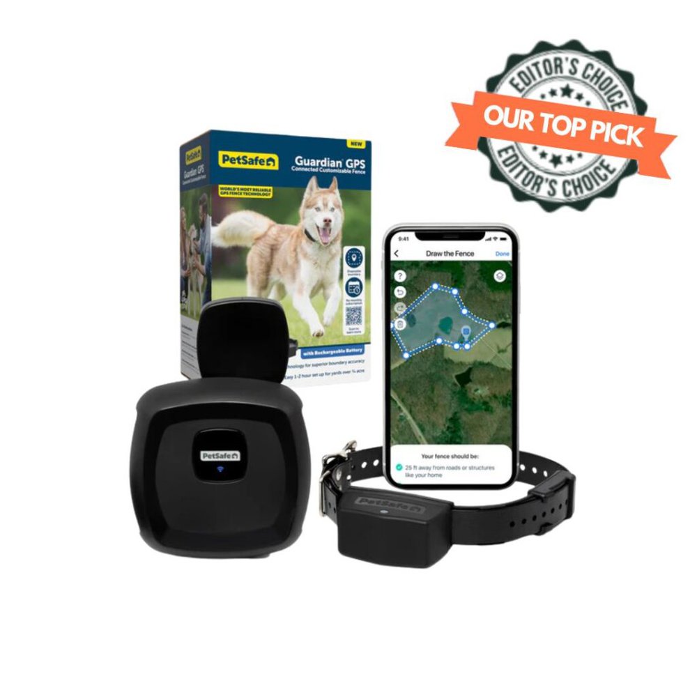 5 Best No Monthly Fee Dog GPS Trackers Without Subscription