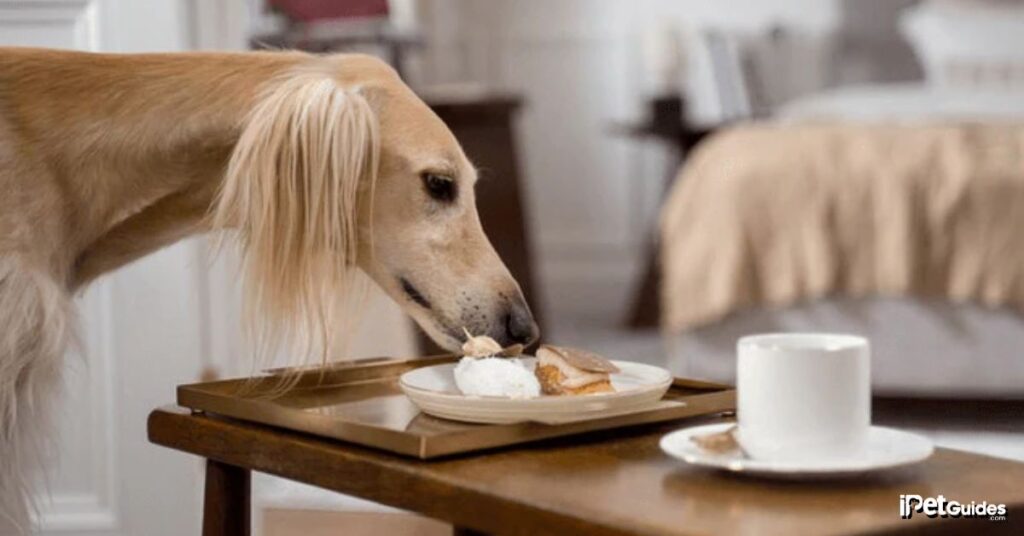 What should i do if my dog ate a stick of butter 